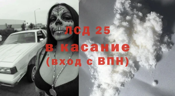 шишки Новозыбков