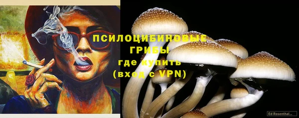 прущие крисы Белоозёрский